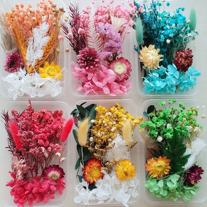 Festival bricolaje hecho a mano material de flor eterna planta flor seca florero flotante aromaterapia flor seca abanico de material paquete al por mayor
