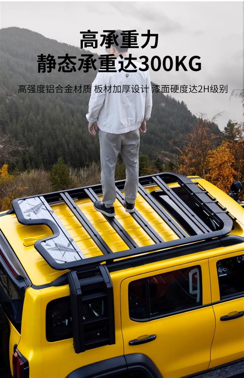 Tank 300 Roof Rack Aluminum Alloy Expansion Platform Luggage Frame Side Ladder Side Tent Backpack Modification Parts