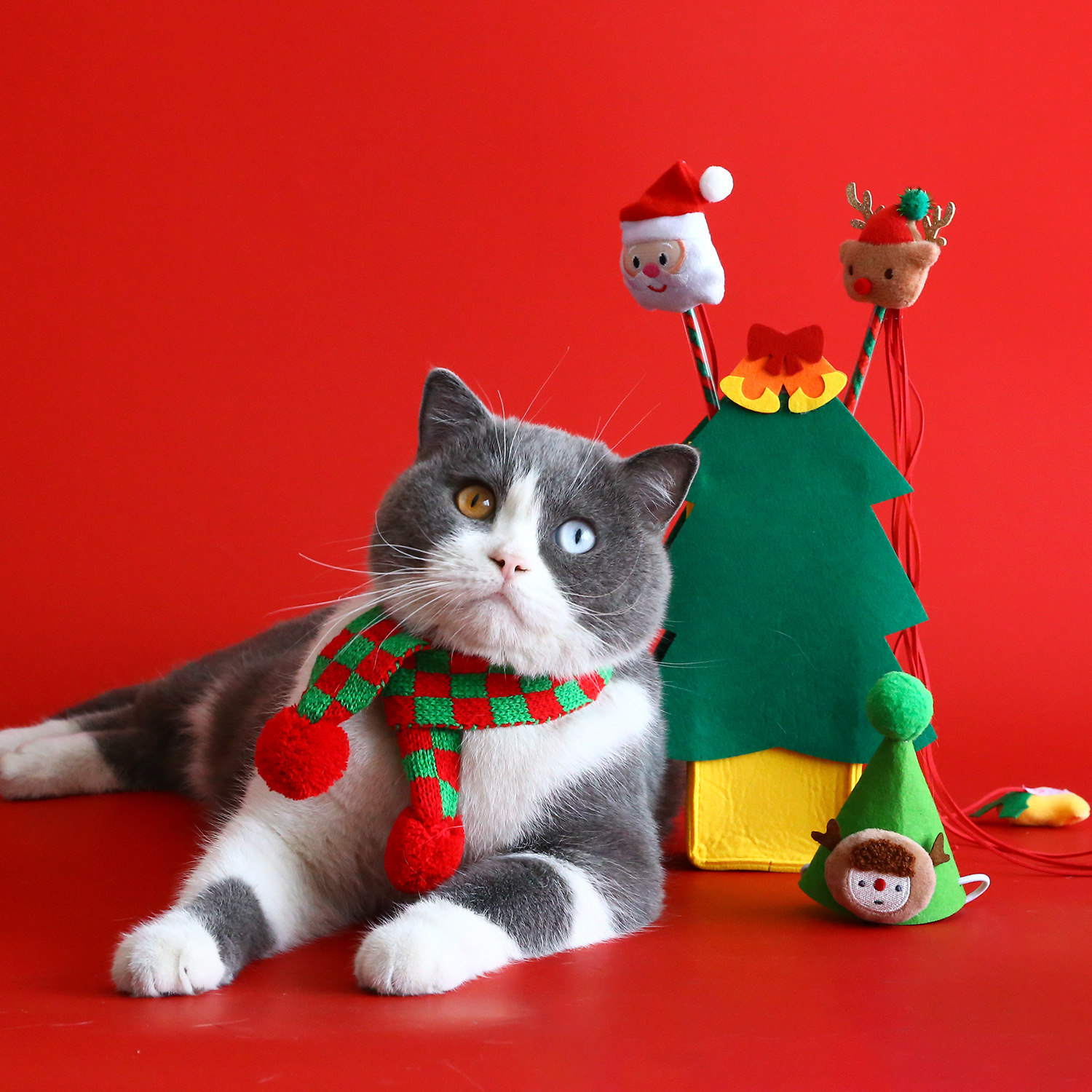 Mascota gato árbol de Navidad juguete bufanda sombrero traje caja de regalo mu Tianmiao molar bufanda de lana de dibujos animados regalo