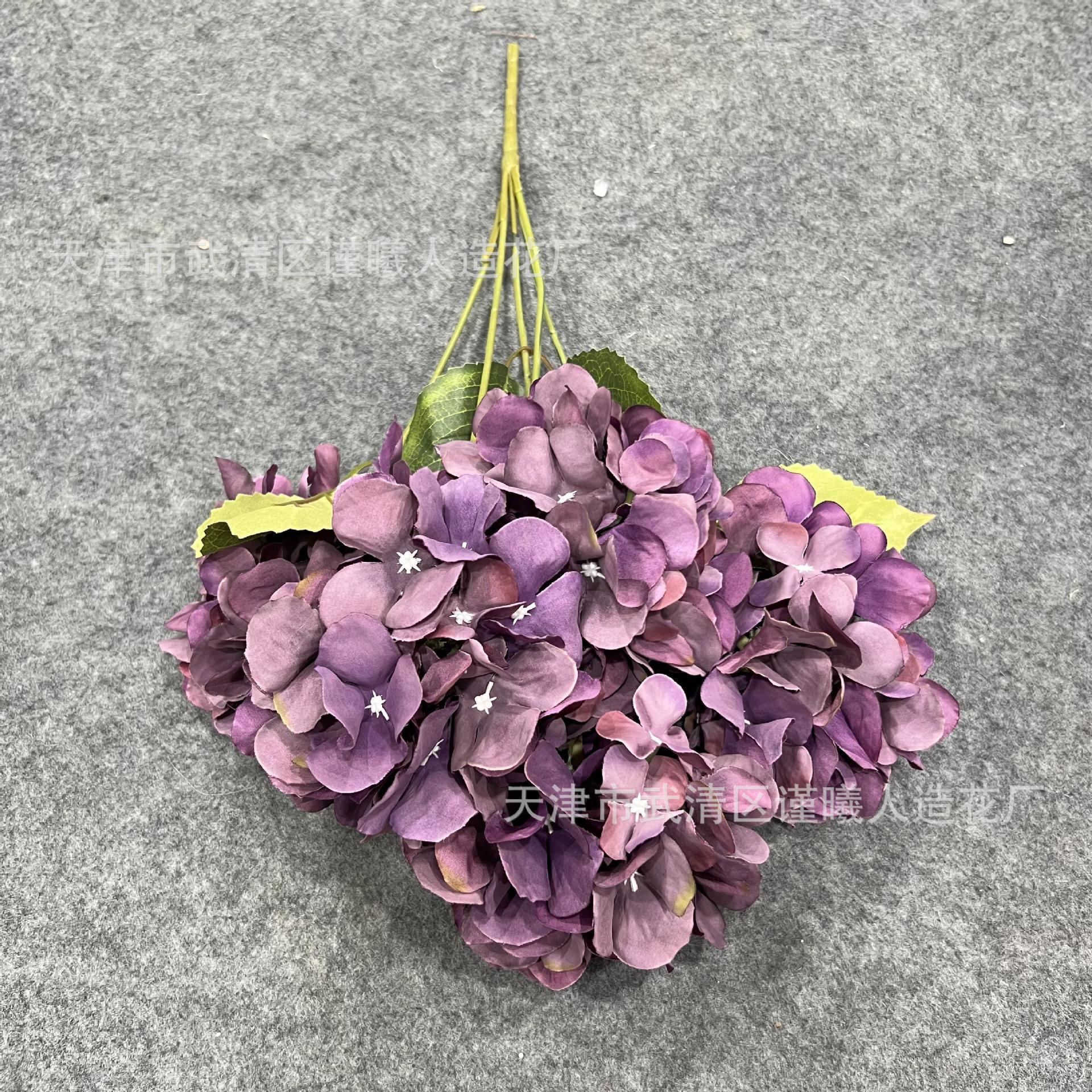 2022_08_27_09_50_IMG_6673