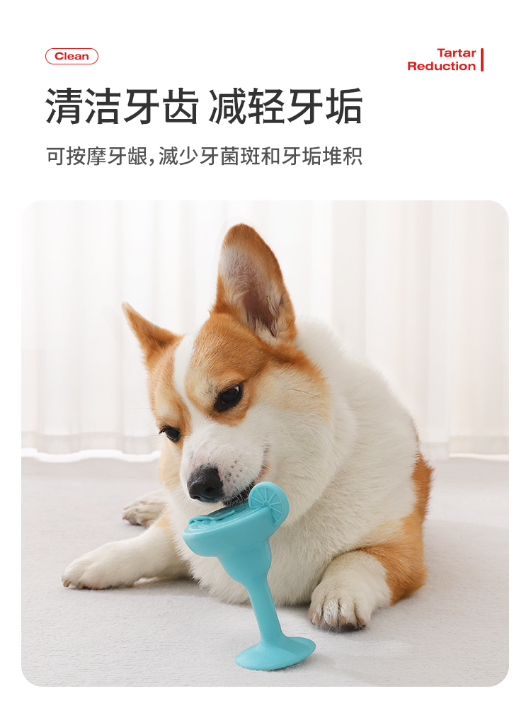 (PETSTAR_FROZEN TOYS) 소형견의 여름 냉각을 위한 강아지 치아 청소 및 씹기 방지 고무 장난감, 대화형 및 지루함 해소