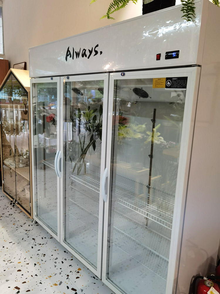 风冷鲜花保鲜展示柜花店专用单双三门保险花束卉商用冷藏冰箱包邮