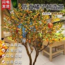 �������Ә��S�ٹ��������b������͘�Ƶ���ù�˾�����쾰