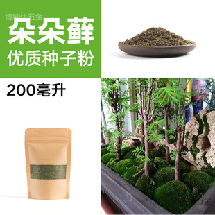 ̦�\�N�ӷ�ĩ��ˮʯ��ɽ��ˮʯ�辰�r����̦�N��̦�\���ӷ�ֲ��