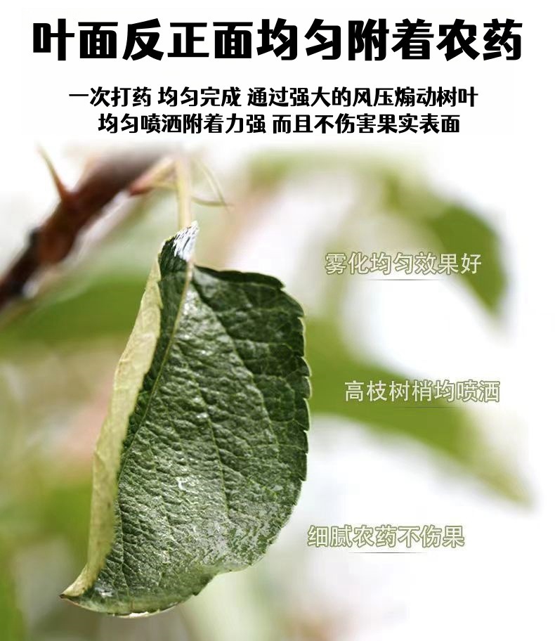 O1CN01eTmPf71yV4CXrvoRC_!!2216