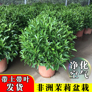 ���������ļ�����ͥԺ���;Gֲ����ȩ�����՚�͏d�k���Ҹߙn����