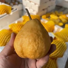 AܛŴ̨̫ųԵrˮ5]һl