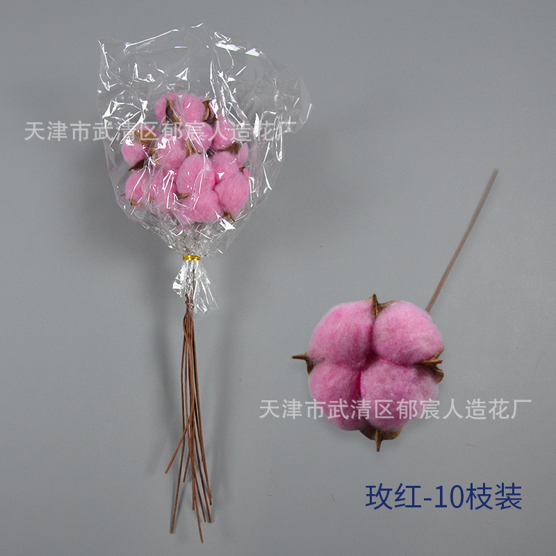 綿の単枝永生木綿の乾燥花をシミュレーションします。|undefined