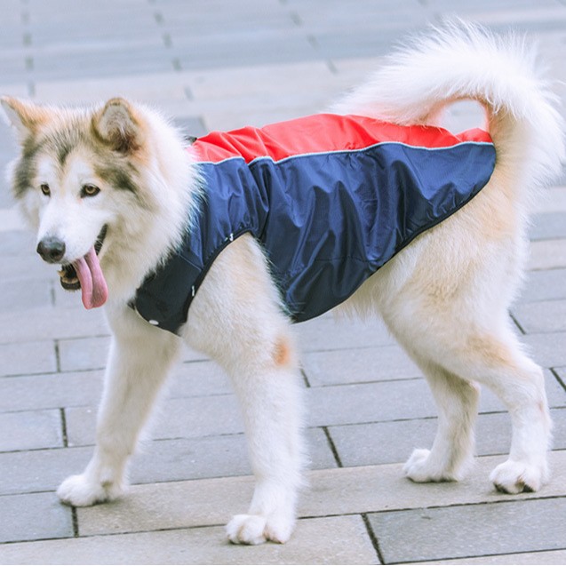 Liquidación pequeño mediano grande perro golden retriever samo impermeable ropa de algodón acolchado ropa para mascotas otoño e invierno engrosada gato cálido