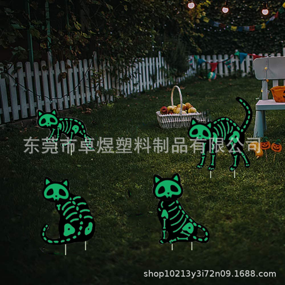 夜光猫.jpg
