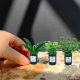 2025 cross-border new doll house green plant model ornaments desktop decoration miniature simulation green plant ornaments