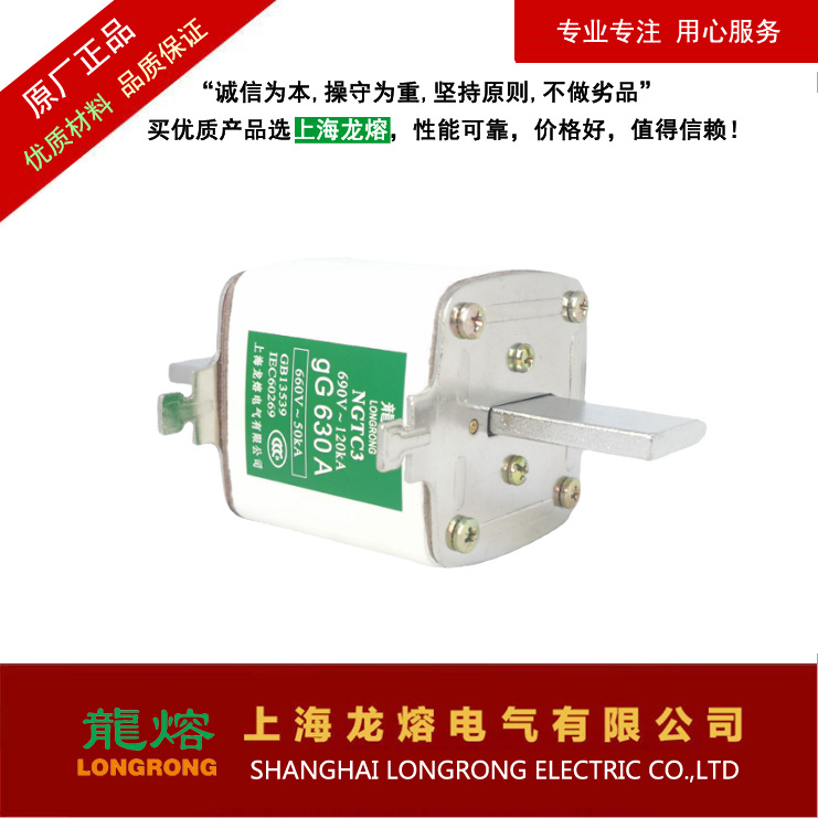 快速熔断器 NGTC2 690V 100A，刀插式，认准"龍熔"品牌，上海龙熔