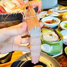 Z-一件批发深海鳌虾刺身虾冰盘日式料理自助生腌海鲜鲜活海捕生鲜
