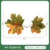 [单片双边枫叶I款【一斤400片，按整数下单哟】]