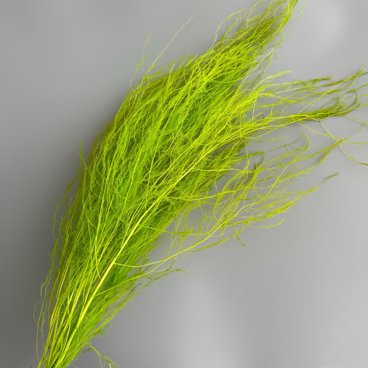 Florista sueña material floral suave decoración de bodas hierba de pelo seco flores eternas multicolores al por mayor