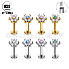 F136�ѺϽ�ʱ��÷����ﯻ��������������G23������Ʒ���������