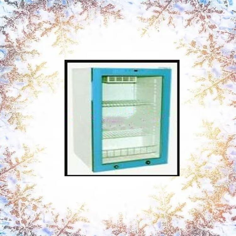 实验室恒温箱 型号:FY12/YS-138L 库号：M402044