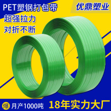 工厂批发1608绿色打包带钢材物流包装带建材打包pet塑钢带批发