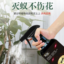 ����Λρș�������x�������wΛρ�tΛρ�SΛρ��ΛρС��ρș���