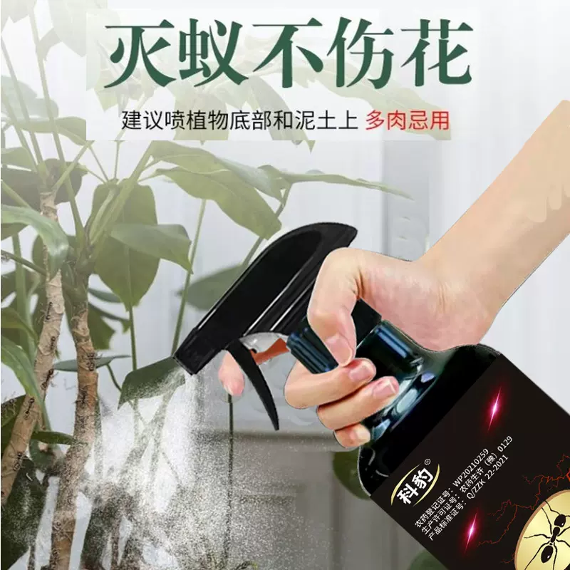 家用蚂蚁药喷剂杀虫剂除杀飞蚂蚁红蚂蚁黄蚂蚁黑蚂蚁小家蚁药蟑螂