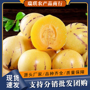 �������ʯ���˅���5���������r�S�����ЋDˮ��10���l���]3������