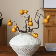 ѩ������L�մɻ�ƿ�Ƶ������b[���廨������ʽ�U��͹Ŵ��չ�