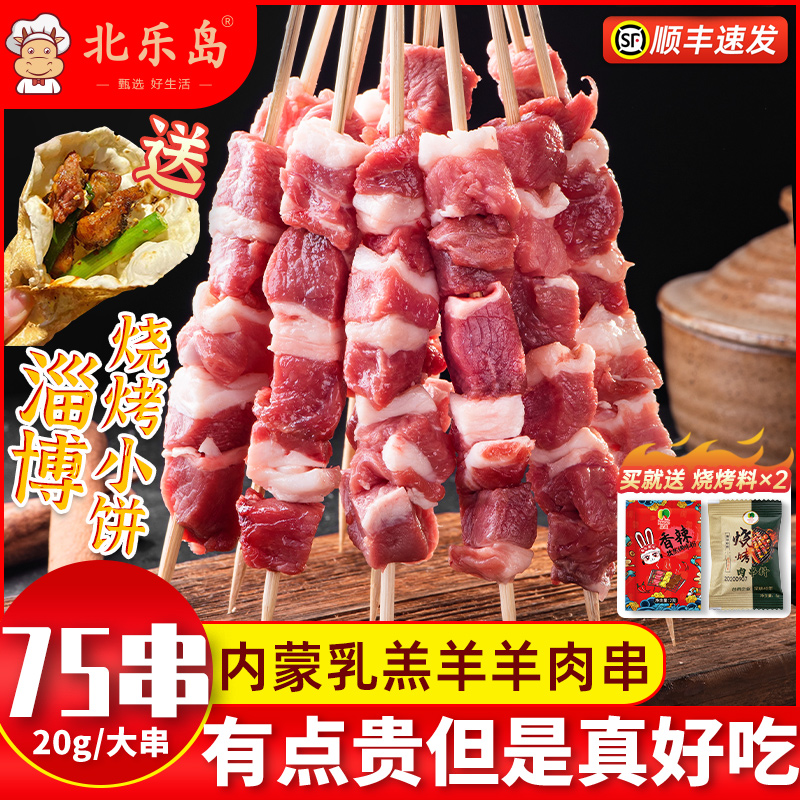 淄博烧烤同款新鲜纯羊肉串大串烤串半成品家庭户外露营食材套餐