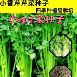 蔬菜种子;粮食作物种子;一二年生花卉
