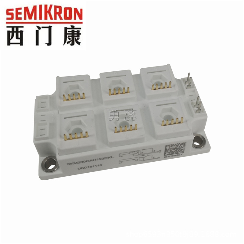IGBT模块 SKM200GAL126DKLSKM200GAL126DKLDSKM200GAL126DKLD110