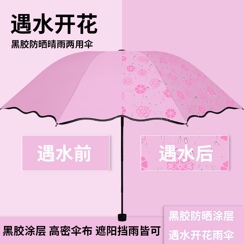 설명서 [물에 노출되면 피어남] 핑크