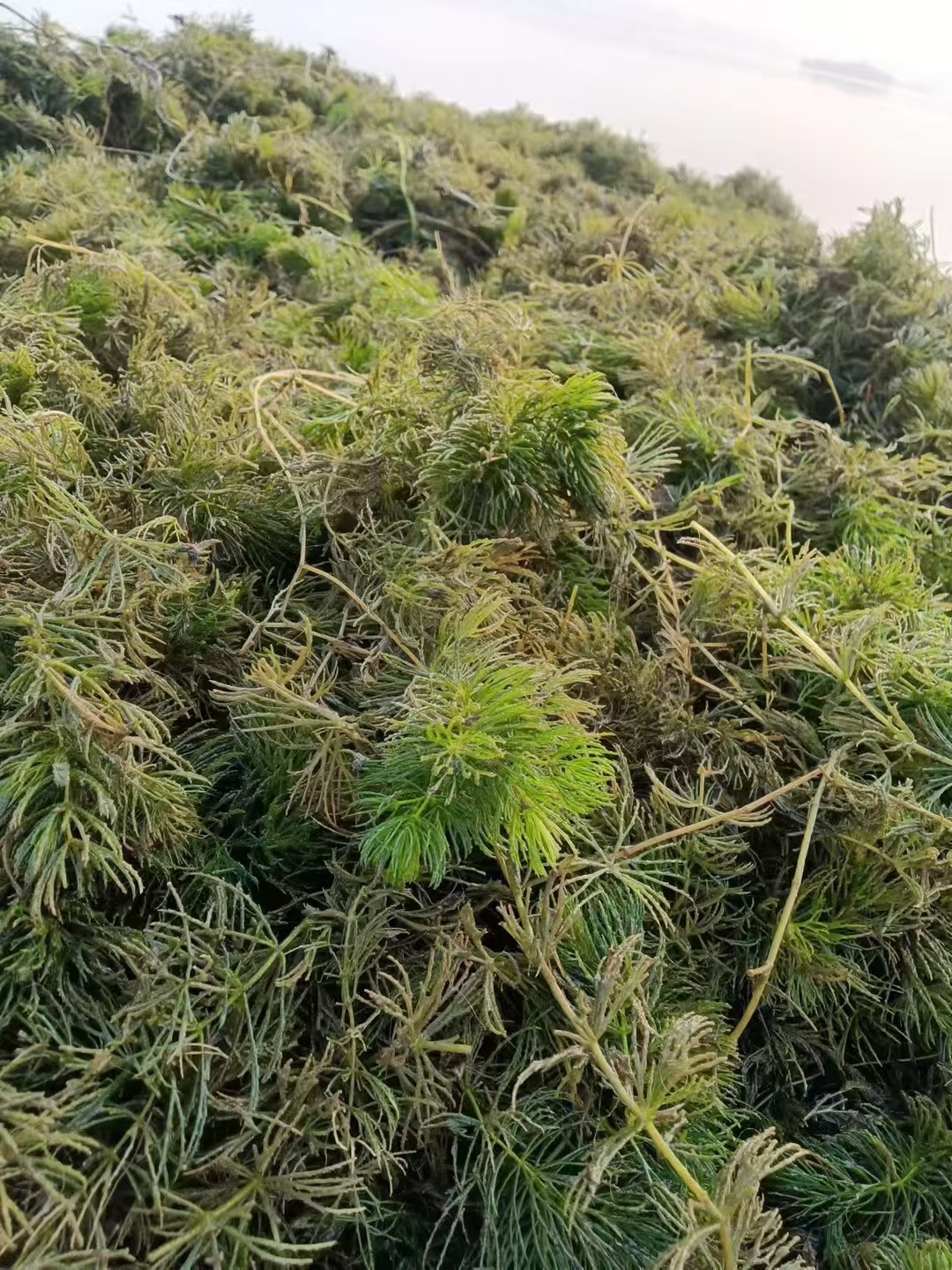 微信图片_20250406114624