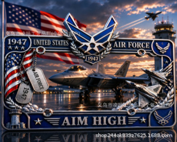 Cross-Border New Product: Vietnam Veteran Tribute License Plate Frame