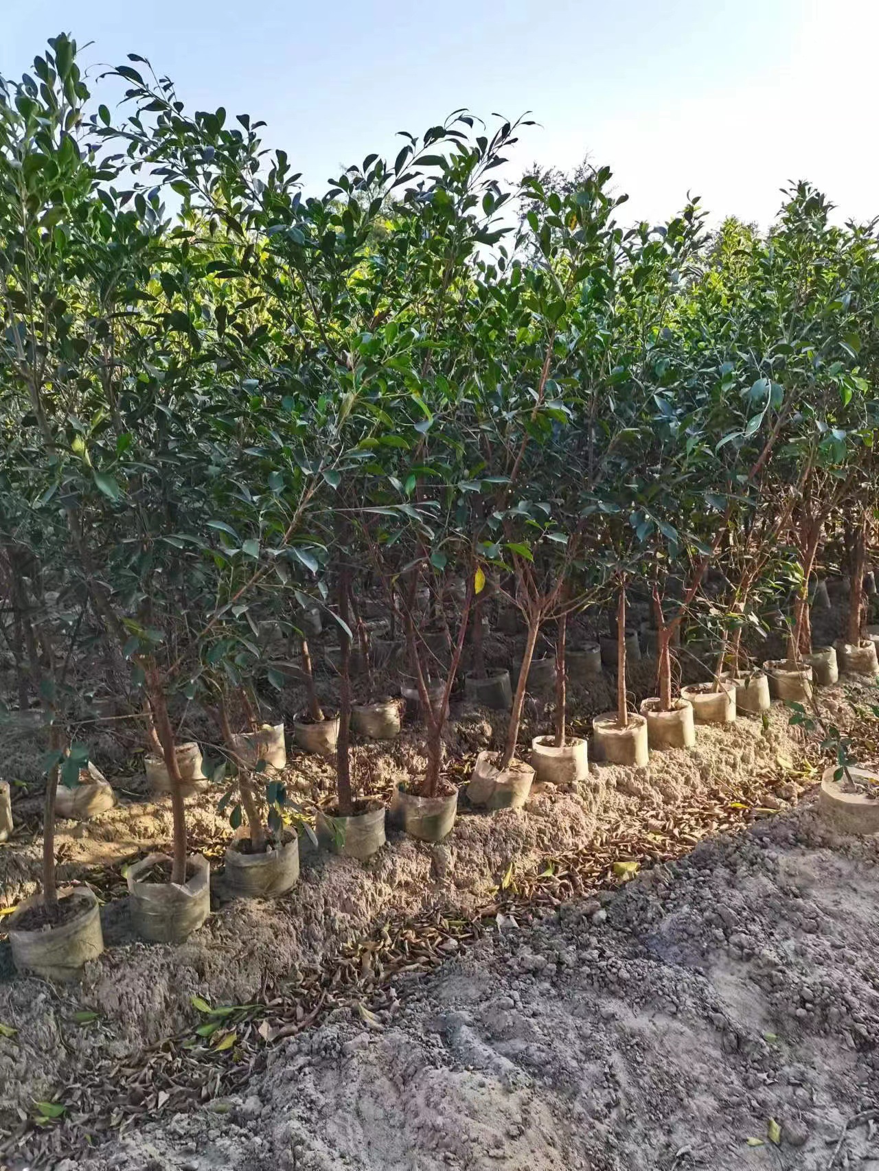 微信图片_202302232037052