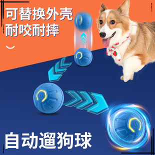 2025�¿������򹷹������ҧ���ԄӶ����������˽␞����늄ӌ���