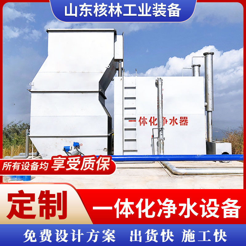 Reservoir Lake Water Integrated Water Purification Equipment Chengzhen Self-Priming Water Factory Large Water Purification Device Well Water Purification Equipment