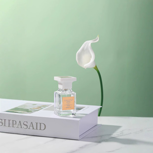 ����310ƽ����ˮŮ�ô���ͬ����������µ���ֱ����؛��ˮŮʿ