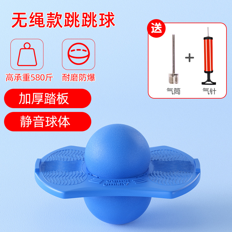 스탠다드 모델 [블루]에는 펌프 + 볼바늘이 함께 제공됩니다.