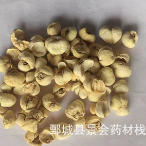 Zhejiang Fritillaria Fritillaria 500г Китайские лекарственные материалы оптом