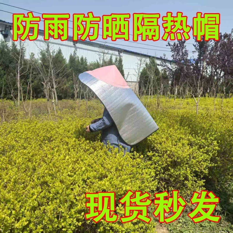Рыболовная шляпа с защитой от солнца, уличная шляпа от солнца, защита от солнца, защита от дождя, теплоизоляция, шляпа для сбора жасминового чая, плащ для работы на ферме