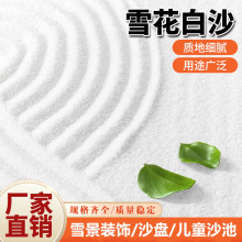 批发白沙微景观装饰儿童沙池填充石英砂沙滩造景草坪用白砂石英砂