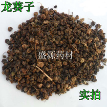 ������ș�� ������ Ұ���� ������ ������ ������ ����ă� ��؛