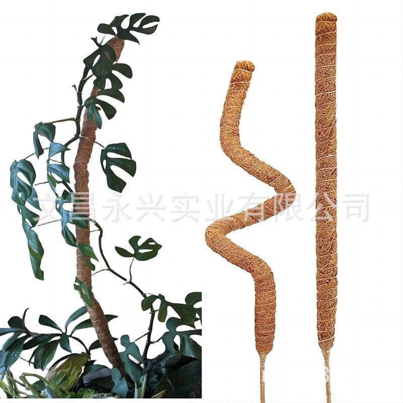 Декоративные опоры для растений, оптом, различные размеры, палки из кокосового волокна с острова Хайнань, опоры для вьющихся растений, трансграничная торговля
