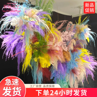 ���柟���쾰��횲ݷ��滨��ë��ȸ������ݷ����JȔ�����̈����