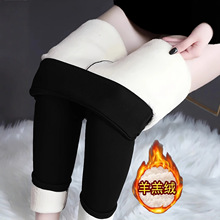 �غ�800�����q���ѝŮ���ӽq�Ӻ��⴩��mm��a��������ůѝ
