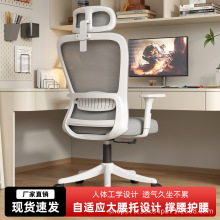 人体工学椅电脑舒适久坐家用学习椅子职员会议椅办公室员工办公椅