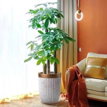 �����߰lؔ���҃ȾGֲ���Һ��B�����՚����״��͏d����Gֲ�k����