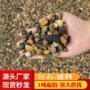 天然过滤五彩小石子豆石