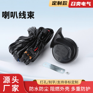 ���Ⱦ�����܇���ȸ��b����һ�϶��θ��p����΁ţ����12/24V����