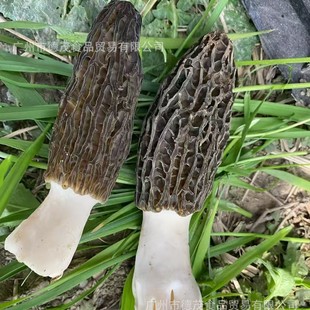 ���r�^����Ǿ����جF�ɬF�l���ݾ��x�����Ҝ�ʳ�þ���S���\�Y��