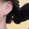 Zirconium, summer small design earrings, light luxury style